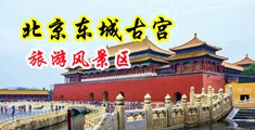 骚淫荡黑丝肥熟岳诱惑中国北京-东城古宫旅游风景区